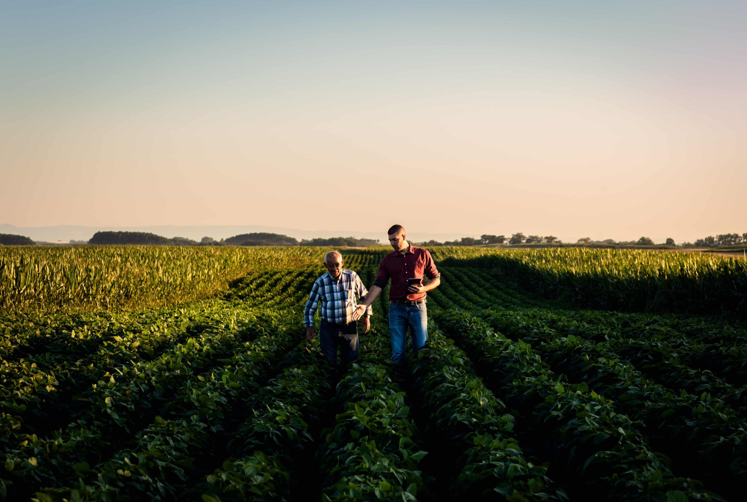 AI in Agribusiness